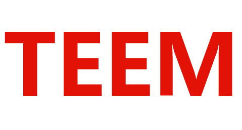 TEEM, изображение [n]