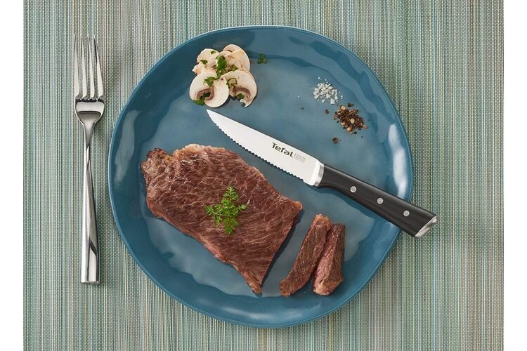 Tefal Набір ножів для стейка Ice Force 11 см 4 шт, изображение 6